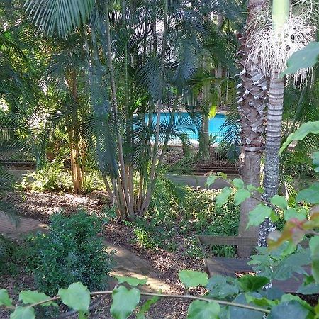 Forest Lodge Apartments Брисбен Экстерьер фото